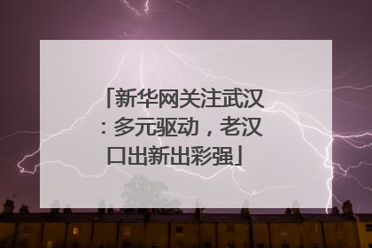 新华网关注武汉：多元驱动，老汉口出新出彩强