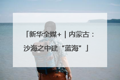 新华全媒+｜内蒙古：沙海之中建“蓝海”