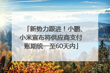 新势力跟进！小鹏、小米宣布将供应商支付账期统一至60天内