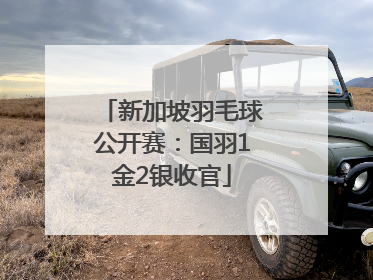 新加坡羽毛球公开赛：国羽1金2银收官
