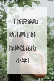 新晨锦和幼儿园萌娃探秘莲花街小学