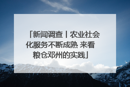 新闻调查丨农业社会化服务不断成熟 来看粮仓邓州的实践