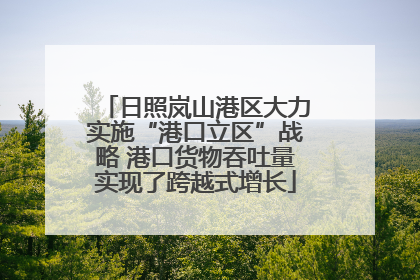日照岚山港区大力实施“港口立区”战略 港口货物吞吐量实现了跨越式增长