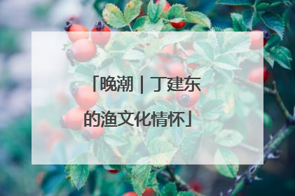 晚潮｜丁建东的渔文化情怀