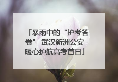 暴雨中的“护考答卷” 武汉新洲公安暖心护航高考首日