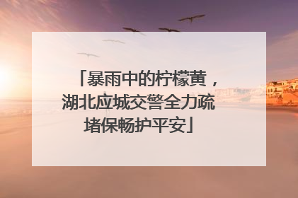 暴雨中的柠檬黄，湖北应城交警全力疏堵保畅护平安