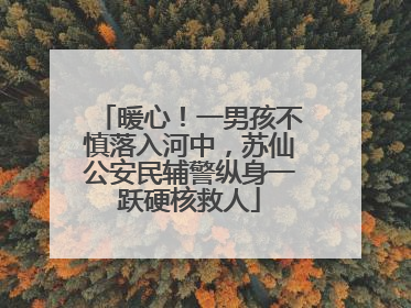 暖心！一男孩不慎落入河中，苏仙公安民辅警纵身一跃硬核救人