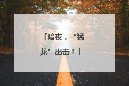 暗夜，“猛龙”出击！