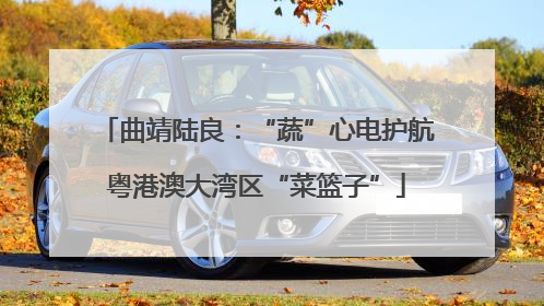 曲靖陆良：“蔬”心电护航粤港澳大湾区“菜篮子”