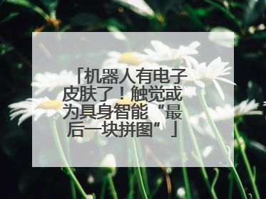 机器人有电子皮肤了！触觉或为具身智能“最后一块拼图”