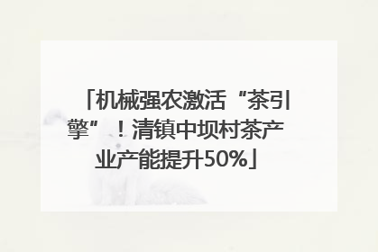 机械强农激活“茶引擎”！清镇中坝村茶产业产能提升50%