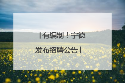 有编制！宁德发布招聘公告