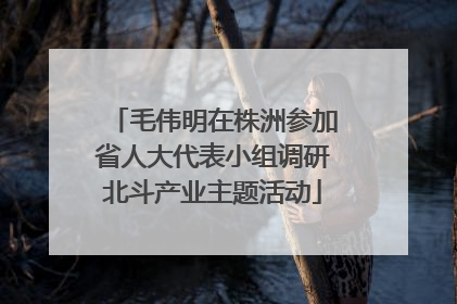 毛伟明在株洲参加省人大代表小组调研北斗产业主题活动