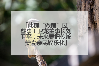 此前“做错”过一些事！卫龙董事长刘卫平：未来要把传统美食亲民娱乐化