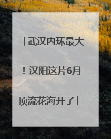 武汉内环最大！汉阳这片6月顶流花海开了