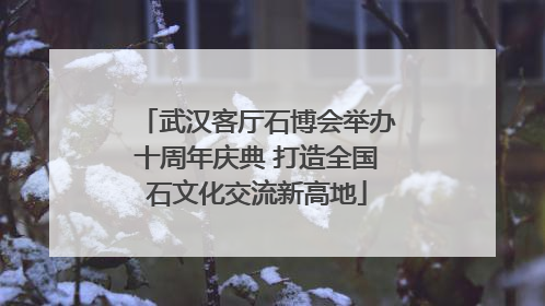 武汉客厅石博会举办十周年庆典 打造全国石文化交流新高地
