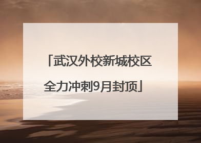 武汉外校新城校区全力冲刺9月封顶