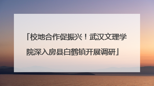 校地合作促振兴！武汉文理学院深入房县白鹤镇开展调研