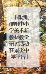 株洲、邵阳中小学美术新教材教学研讨活动在景炎中学举行