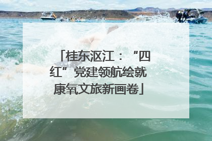 桂东沤江：“四红”党建领航绘就康氧文旅新画卷