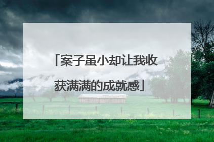 案子虽小却让我收获满满的成就感