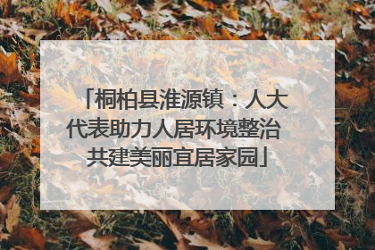 桐柏县淮源镇：人大代表助力人居环境整治 共建美丽宜居家园