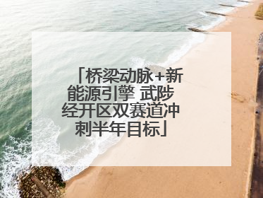 桥梁动脉+新能源引擎 武陟经开区双赛道冲刺半年目标