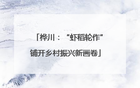 桦川：“虾稻轮作”铺开乡村振兴新画卷