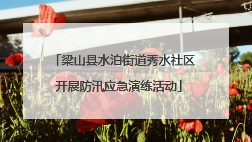 梁山县水泊街道秀水社区开展防汛应急演练活动