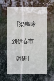 梁惠玲到伊春市调研