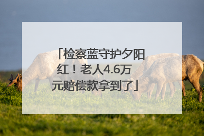 检察蓝守护夕阳红！老人4.6万元赔偿款拿到了