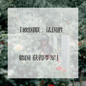欧国联：法国胜德国 获得季军