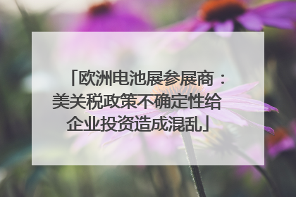 欧洲电池展参展商：美关税政策不确定性给企业投资造成混乱