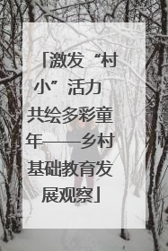 激发“村小”活力 共绘多彩童年——乡村基础教育发展观察