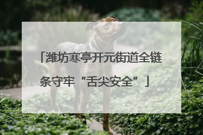 潍坊寒亭开元街道全链条守牢“舌尖安全”