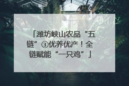 潍坊峡山农品“五链”③优养优产！全链赋能“一只鸡”