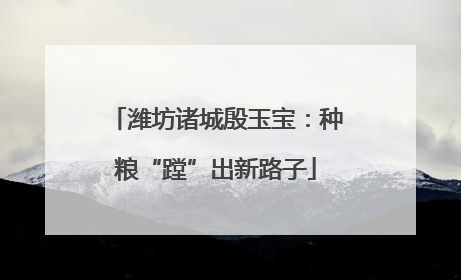 潍坊诸城殷玉宝：种粮“蹚”出新路子