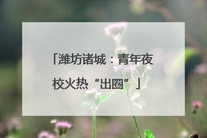 潍坊诸城：青年夜校火热“出圈”