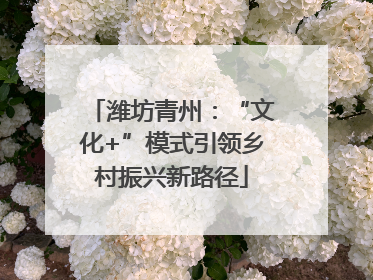 潍坊青州：“文化+”模式引领乡村振兴新路径