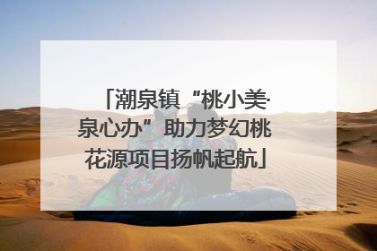 潮泉镇“桃小美·泉心办”助力梦幻桃花源项目扬帆起航