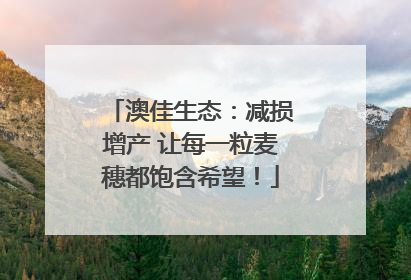 澳佳生态：减损增产 让每一粒麦穗都饱含希望！
