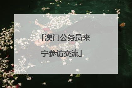 澳门公务员来宁参访交流