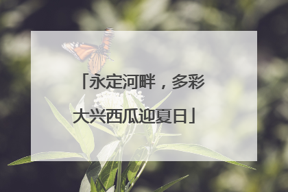 永定河畔，多彩大兴西瓜迎夏日