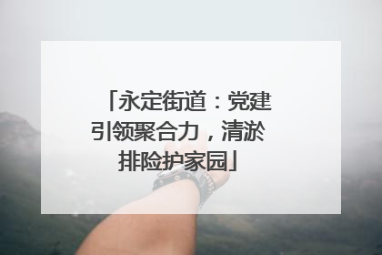 永定街道：党建引领聚合力，清淤排险护家园