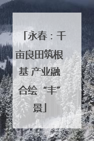 永春：千亩良田筑根基 产业融合绘“丰”景