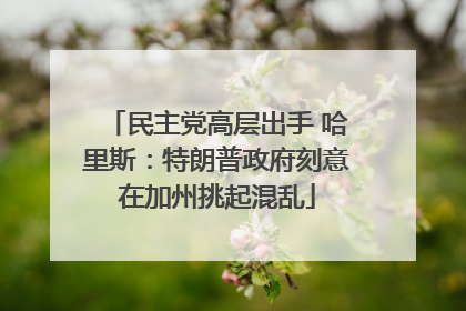 民主党高层出手 哈里斯：特朗普政府刻意在加州挑起混乱