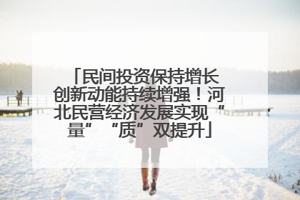 民间投资保持增长 创新动能持续增强！河北民营经济发展实现“量”“质”双提升