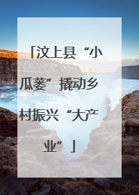 汶上县“小瓜蒌”撬动乡村振兴“大产业”