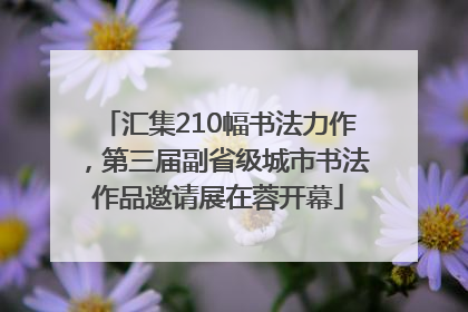 汇集210幅书法力作，第三届副省级城市书法作品邀请展在蓉开幕