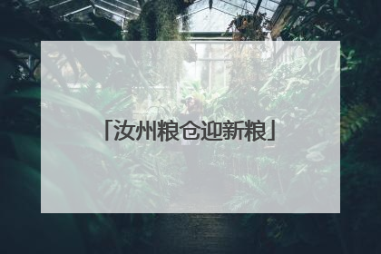 汝州粮仓迎新粮